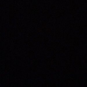 Meet your Posher, Lexi